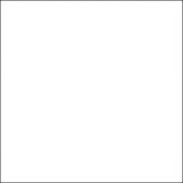 Gạch Trường Thịnh BLACK & WHITE FASHION TT88000